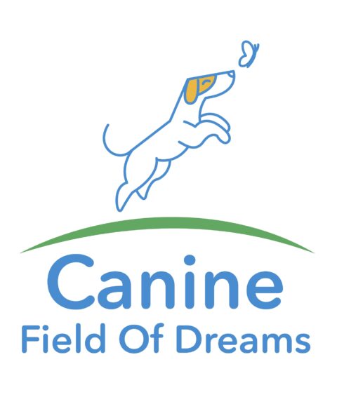 Canine Field of Dreams